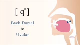 q⁼  unvoiced unaspirated back dorsal uvular stop [upl. by Astraea]