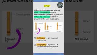 linkage linked genes Unlinked Genes linkage group biologyclass12 2025boardexam [upl. by Pritchard]