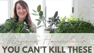 Houseplant Tour  Top 8 Best Beginner Friendly Indoor Plants [upl. by Peggy]