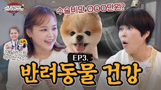 quot아픈 순간 텅장quot 반려동물 건강 똑똑하게 대비하기ㅣ손자방법 EP3 l 조혜련X여서정 선수 [upl. by Champaigne483]