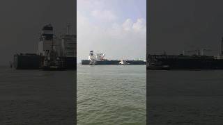 Vlcc berthing merchantnavy ship vessel vlcc reels travel shorts viralvideo trending nice [upl. by Cardie]