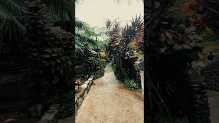 Castañas Spring Resort leyte nature spring [upl. by Moreta]