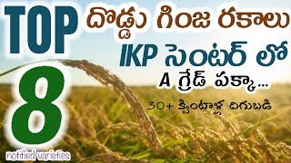 Top paddy seeds in telugu  అధిక దిగుబడులను ఇచ్చే దొడ్డు గింజ వరి రకాలు [upl. by Amand]