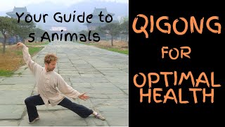 Qigong for Optimum Health Learn 5 Animal Wudang Qigong [upl. by Phaedra]