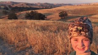 Summer 2017 Pig Hunt in Paso Robles CA [upl. by Adnalay]