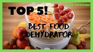 5 Best Dehydrator [upl. by Hattie]