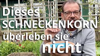 Dieses BIOSchneckenkorn überleben sie NICHT [upl. by Anytsyrk]