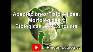 Tipos de Adaptaciones  Fisiológicas Morfológicas y de Conducta [upl. by Marice]