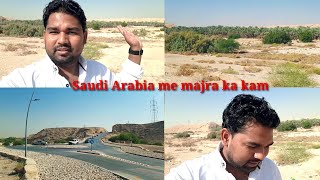 Saudi Arabia me majra ka kam 🐪🐪🐪🐪🐪🐪🐐🐐🐪🐪🐫🐫🐫 [upl. by Geirk85]