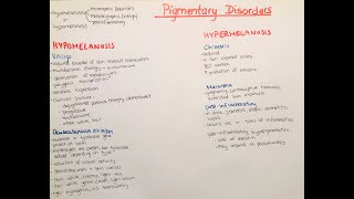 pigmentary disorders  vitiligo albinism chloasma melasma [upl. by Ellatsyrc]