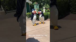 Mary Poppins penguins ready for summer  Epcot Walt Disney World disneyshorts disneylife [upl. by Calabrese]