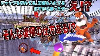 【vsダックハント】えぇそんな復帰の仕方してくるの狂犬過ぎるからファルコで躾しなくちゃ【スマブラSP】 [upl. by Jelle]