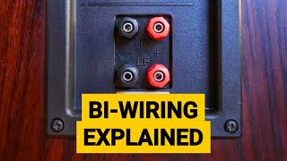 BiWiring Explained  How to Bi Wire Speakers [upl. by Shel216]