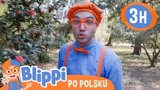 Poznawanie zmysłów  Blippi po polsku 🔶 Nauka i zabawa dla dzieci [upl. by Olva]