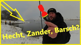 Raubfischangeln im Winter mit Köderfisch und Pose die heißen Stellen finden [upl. by Dj]