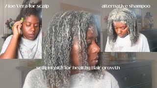 SCALP HEALTH Alternative shampoo and Aloe Vera for dry scalp amp Hair growth [upl. by Asertal264]