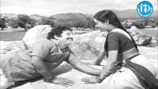 Maavi Chiguru Song  Seetha Mahalakshmi Movie Songs  ChandraMohan  Talluri Rameswari [upl. by Yukio]