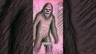 TRUTH Behind Sasquatch Myth or Reality bigfoot sasquatch [upl. by Glynda8]