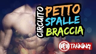 CIRCUITO a CORPO LIBERO  allenamento PETTO BRACCIA e SPALLE  10 min workout [upl. by Euphemie878]