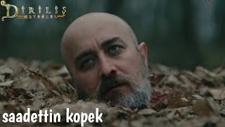 sadettin kopek death scene in ertugrul english subtitlesertugrul gazi [upl. by Armilla416]