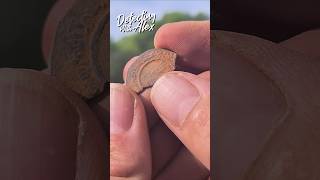 PART ONE The oldest coin I ever found super rare coin Silver Dihram from  750 AD metaldetect [upl. by Ladnek]