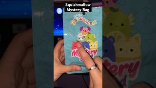 More Squishmallow Mystery Bags  squishmallows toys unboxing [upl. by Eerbua]