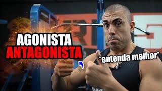 Treino agonista e antagonista  Entenda [upl. by Stefanie412]