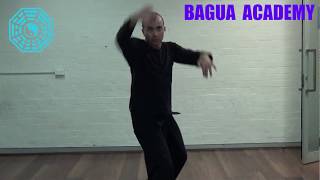 Bagua Throws amp Applications  Sean Kavanagh [upl. by Karisa]