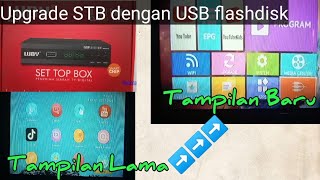 Cara Upgrade Set Top Box Luby DVBT202 dengan USB Flashdisk [upl. by Roderic]