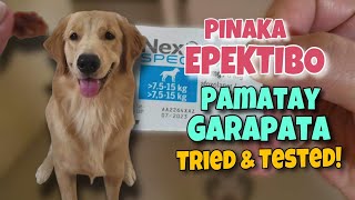 PINAKA MABISANG PAMATAY GARAPATA • Anti Tick Fleas Mites at Heartworm Prevention  Harley amp Euna [upl. by Adnirual]