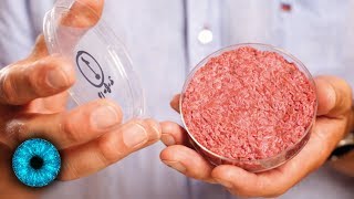 Fleisch aus dem Labor  Essen der Zukunft Gesünder und nachhaltiger [upl. by Esaele]