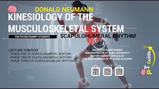 Kinesiology of the musculoskeletal system  scapulohumeral rhythm [upl. by Kristina]