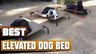 Best Elevated Dog Bed In 2024  Top 10 Elevated Dog Beds Review [upl. by Grenier563]