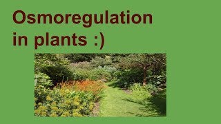 Osmoregulation in plants [upl. by Ettegroeg]