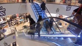 Roltrappen ThyssenKrupp VampD Hoogstraat Rotterdam  Escalators with LED lighting [upl. by Atonsah488]