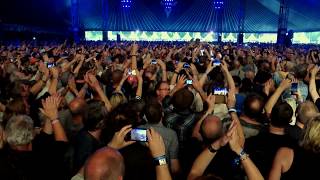 Vintage Trouble  Run Like The River crowd surfing  Holland Int Blues Fest  1062017 [upl. by Areek294]