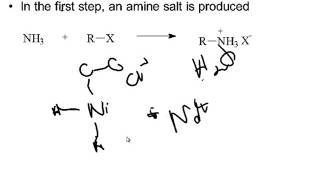 Preparation of Amines [upl. by Seltzer]