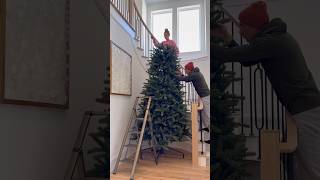 Set up our 12 foot tall Christmas tree with us 🎄 christmas holidays christmastree [upl. by Danni]