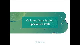 Biology  Cells and Organisation of Specialised Cells Grade 57 IB [upl. by Noraha307]