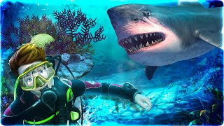 Real Shark Life Simulator [upl. by Airdnahc]