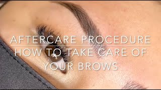 Microblading Aftercare  How to take care of your Microbladed Brows [upl. by Cath524]