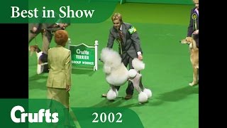 Standard Poodle wins Best in Show at Crufts 2002  Crufts Dog Show [upl. by Yraht]