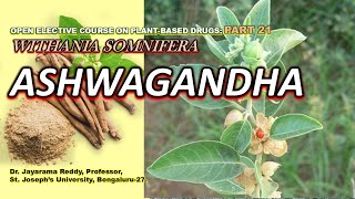 Ashwagandha Part 21 Withania somnifera Plant Based Drugs St Josephs University Aphrodisiac [upl. by Krystal]