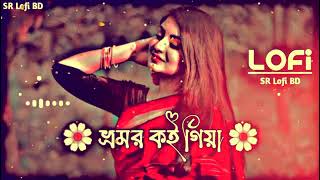 ভ্রমর কইও গিয়া 🥀 Bhromor Koio Giya SlowedReverb Lofi Song [upl. by Alfredo859]