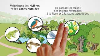 Gestion écologique  Accueillons la biodiversité en ville [upl. by Anual]