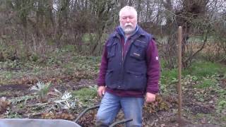 Fraternites Ouvrières  2016 12  à Aalbeke  Lapport de compost aux fraisiers [upl. by Ynnavoeg559]