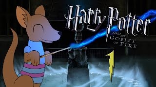 6 LET NA YOUTUBE  Český Lets Play Harry Potter a ohnivý pohár  part 1 [upl. by Rakel]