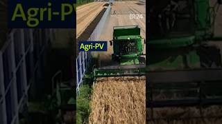 Flächen doppelt nutzen Agri PV shorts landwirtschaft pv [upl. by Behrens]