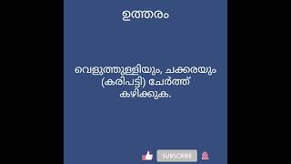 Qus 6096 openness to experience  questions and answer  find the answer  ytshort [upl. by Ahsital]