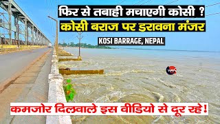 Water Flow at Koshi Barrage Nepal l उफान रही है Kosi कोसी बराज पर पानी देखकर डर जायेंगे आप  Way4U [upl. by Elias]